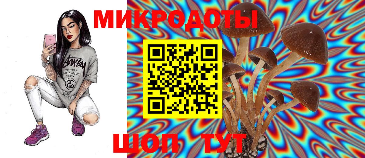 Арзамас  Псилоцибиновые грибы MAGIC MUSHROOMS  Вход с VPN  Галлюциногенные грибы мухоморы 